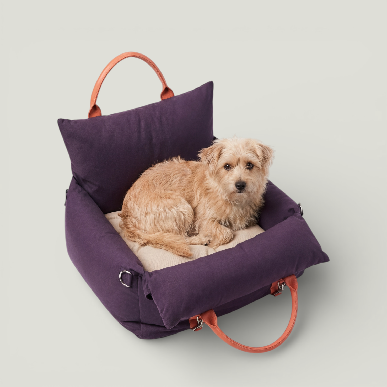 Voyage . Violet in New Template – Nala's Pet Boutique