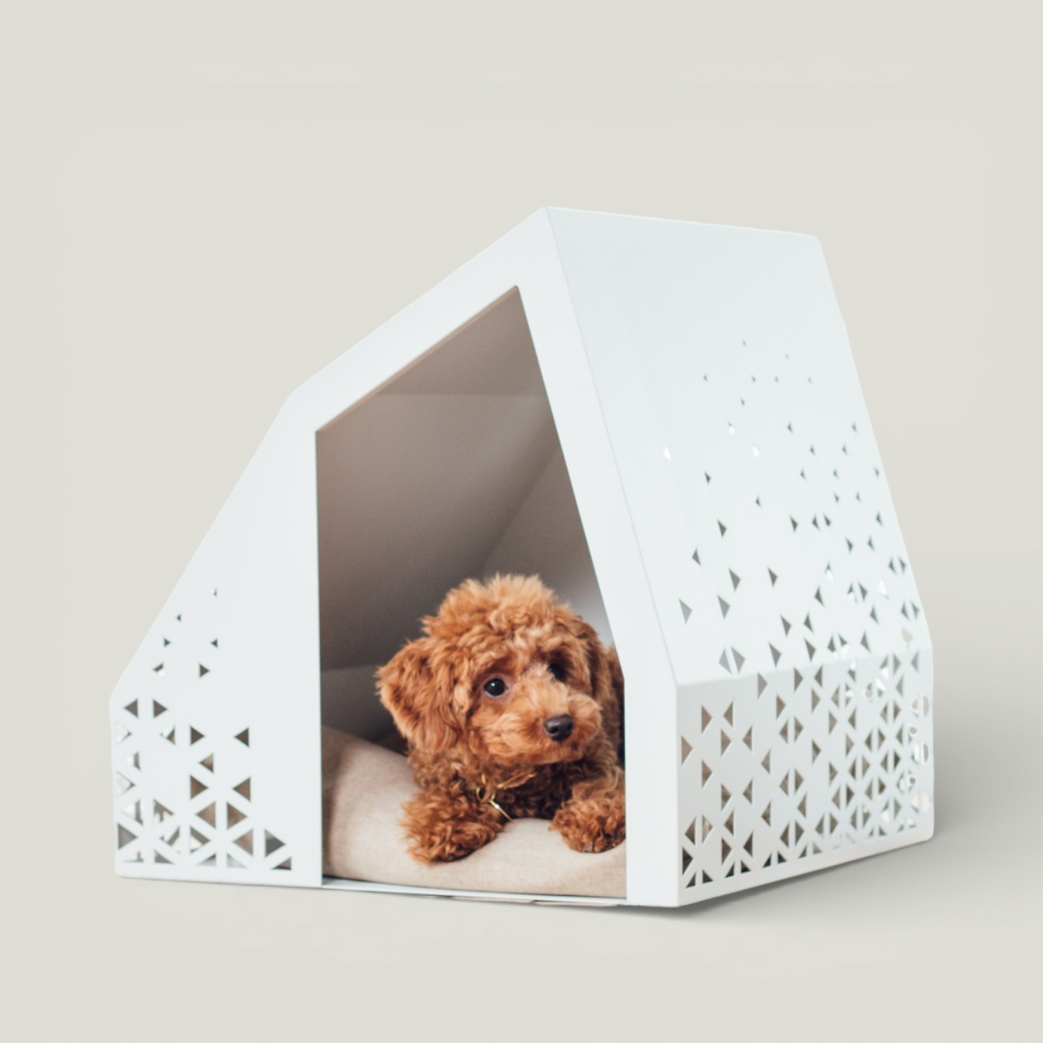 Oshu in New Template – Nala's Pet Boutique