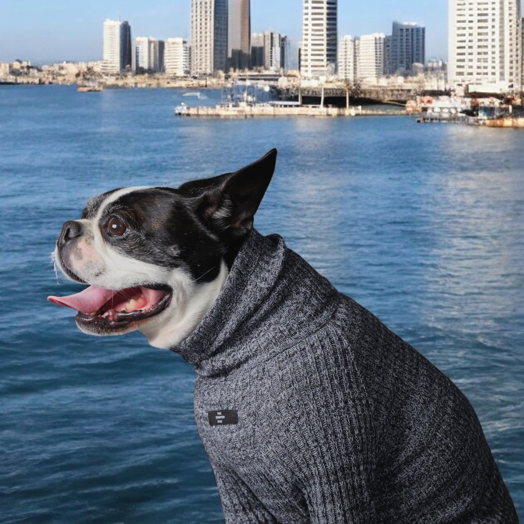 Palmdale Sweater