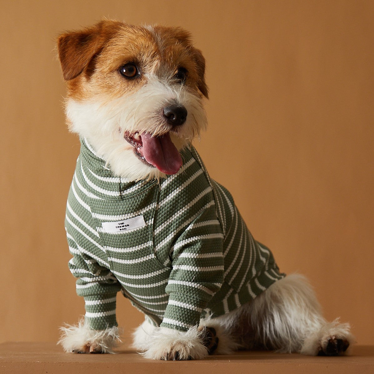 Basic green and white stripes lightweight turtleneck sweater made with a textured jersey. Comfortable and easy to wear.