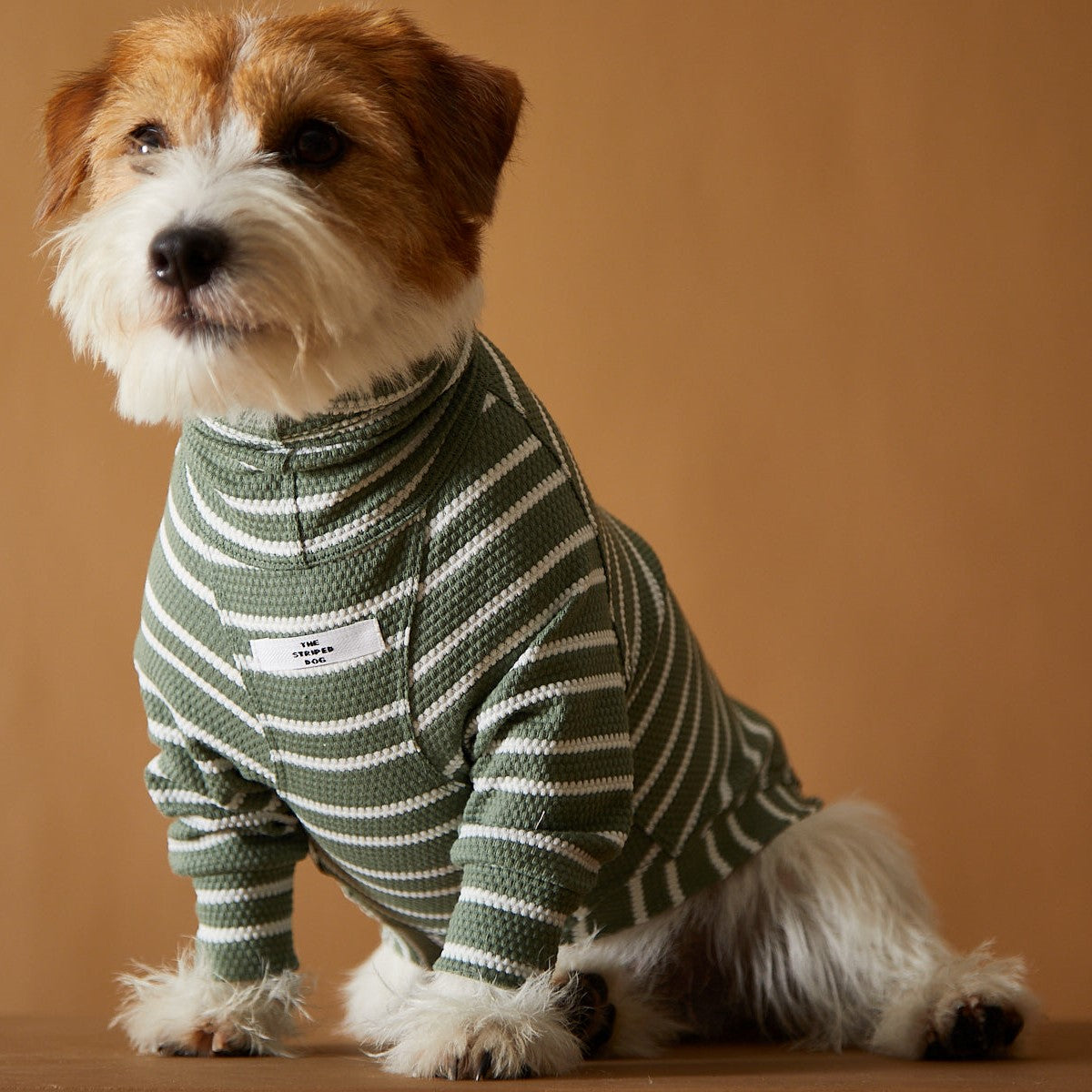 Basic green and white stripes lightweight turtleneck sweater made with a textured jersey. Comfortable and easy to wear.