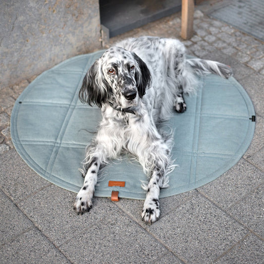 Okka view 13 – Nala's Pet Boutique