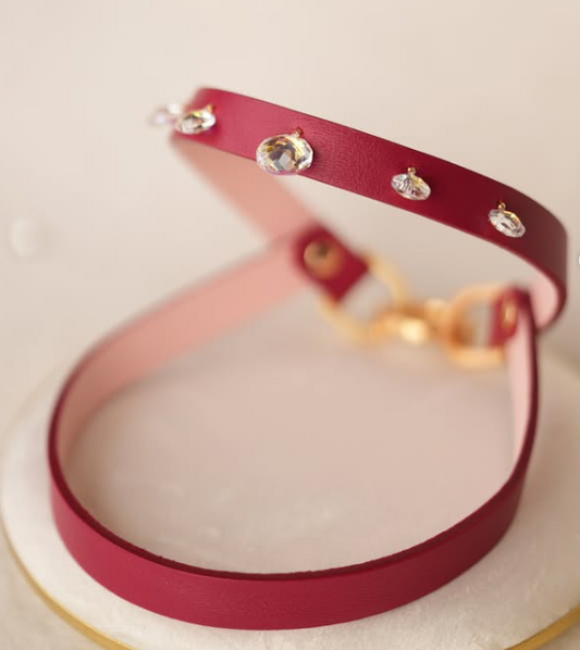 Orb Burgundy Harness