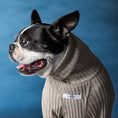 Load image into Gallery viewer, Palmdale Sweater
