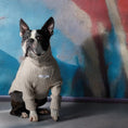 Load image into Gallery viewer, Palmdale Sweater
