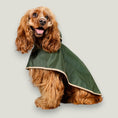 Cargar la imagen en la vista de la galería, The Paramount cape is waterproof, hooded and has 3 lines of snap buttons underneath to adjust the chest and a hole for leash attachment. Perfect for rainy days.
