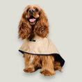 Load image into Gallery viewer, The Paramount cape is waterproof, hooded and has 3 lines of snap buttons underneath to adjust the chest and a hole for leash attachment. Perfect for rainy days.
