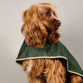 Cargar la imagen en la vista de la galería, The Paramount cape is waterproof, hooded and has 3 lines of snap buttons underneath to adjust the chest and a hole for leash attachment. Perfect for rainy days.
