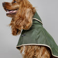 Load image into Gallery viewer, The Paramount cape is waterproof, hooded and has 3 lines of snap buttons underneath to adjust the chest and a hole for leash attachment. Perfect for rainy days.
