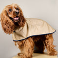 Cargar la imagen en la vista de la galería, The Paramount cape is waterproof, hooded and has 3 lines of snap buttons underneath to adjust the chest and a hole for leash attachment. Perfect for rainy days.
