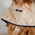 Cargar la imagen en la vista de la galería, The Paramount cape is waterproof, hooded and has 3 lines of snap buttons underneath to adjust the chest and a hole for leash attachment. Perfect for rainy days.
