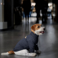 Load image into Gallery viewer, Mine Sweater

