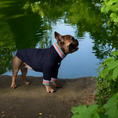 Load image into Gallery viewer, Lakewood Sweater
