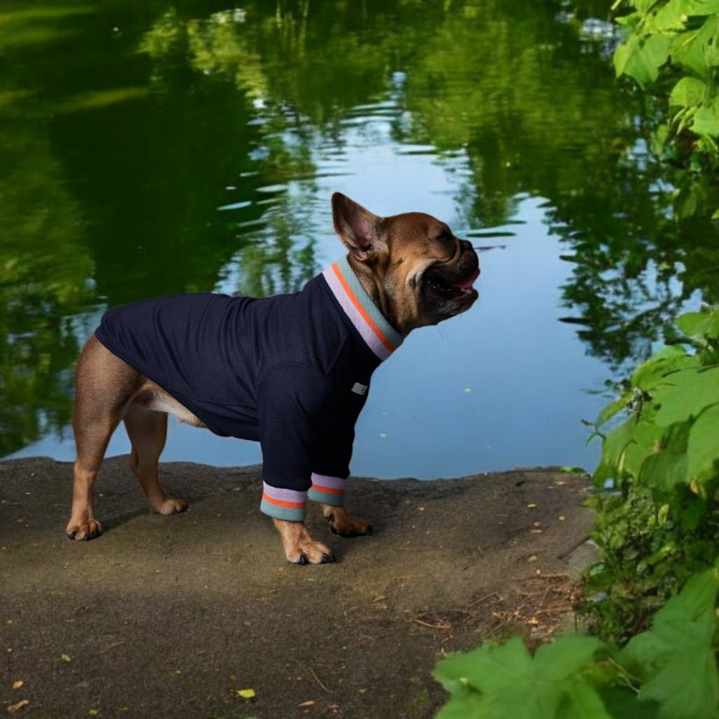 Lakewood Sweater