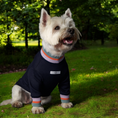 Load image into Gallery viewer, Lakewood Sweater
