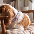 Load image into Gallery viewer, Macaron II-C Crystal Collar
