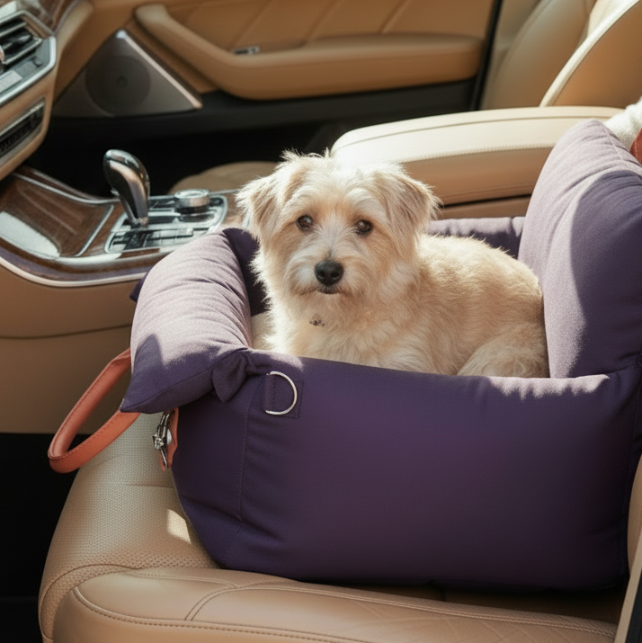 Voyage Car Seat . Violet