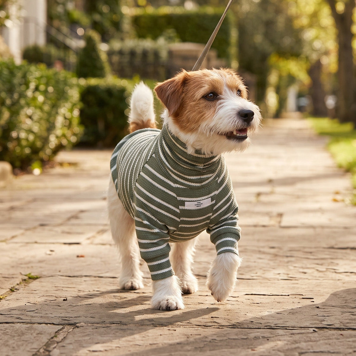 Noel Sweater