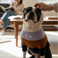 Load image into Gallery viewer, Hollywood Hoodie
