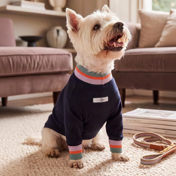 Lakewood Sweater