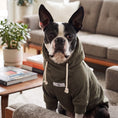 Load image into Gallery viewer, Fontana Hoodie
