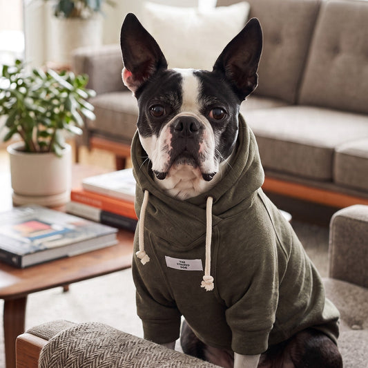 Fontana Hoodie
