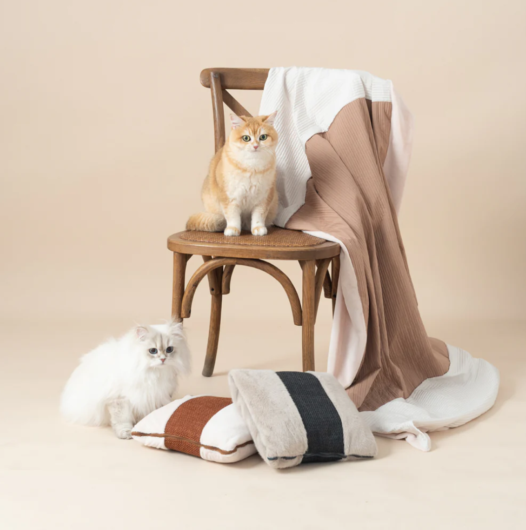 QUIN CUSHION BLANKET