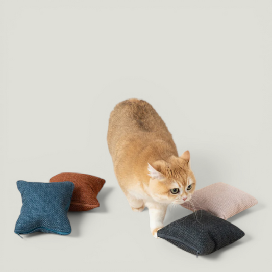 QUIN CUSHION BLANKET