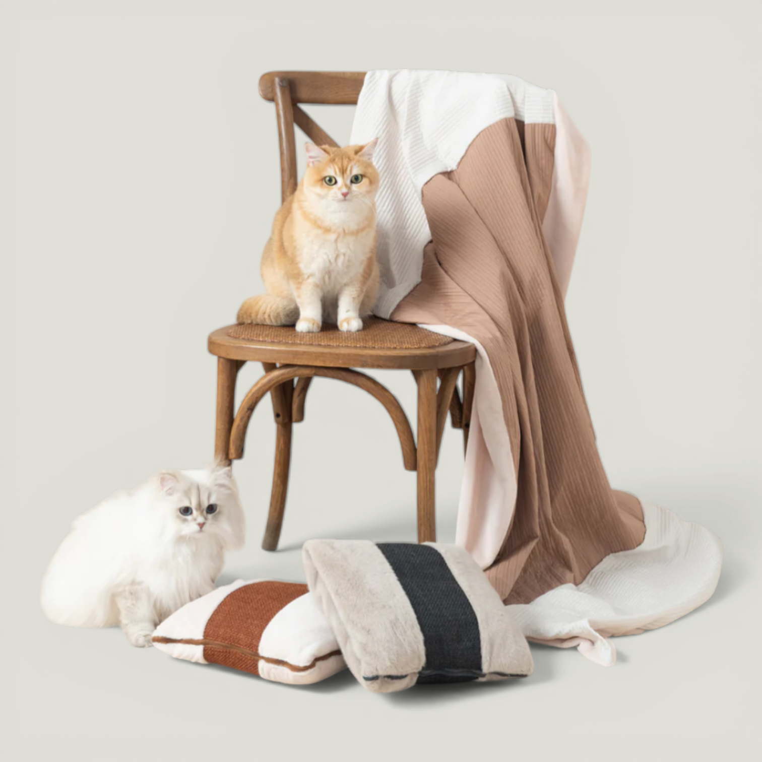 QUIN CUSHION BLANKET