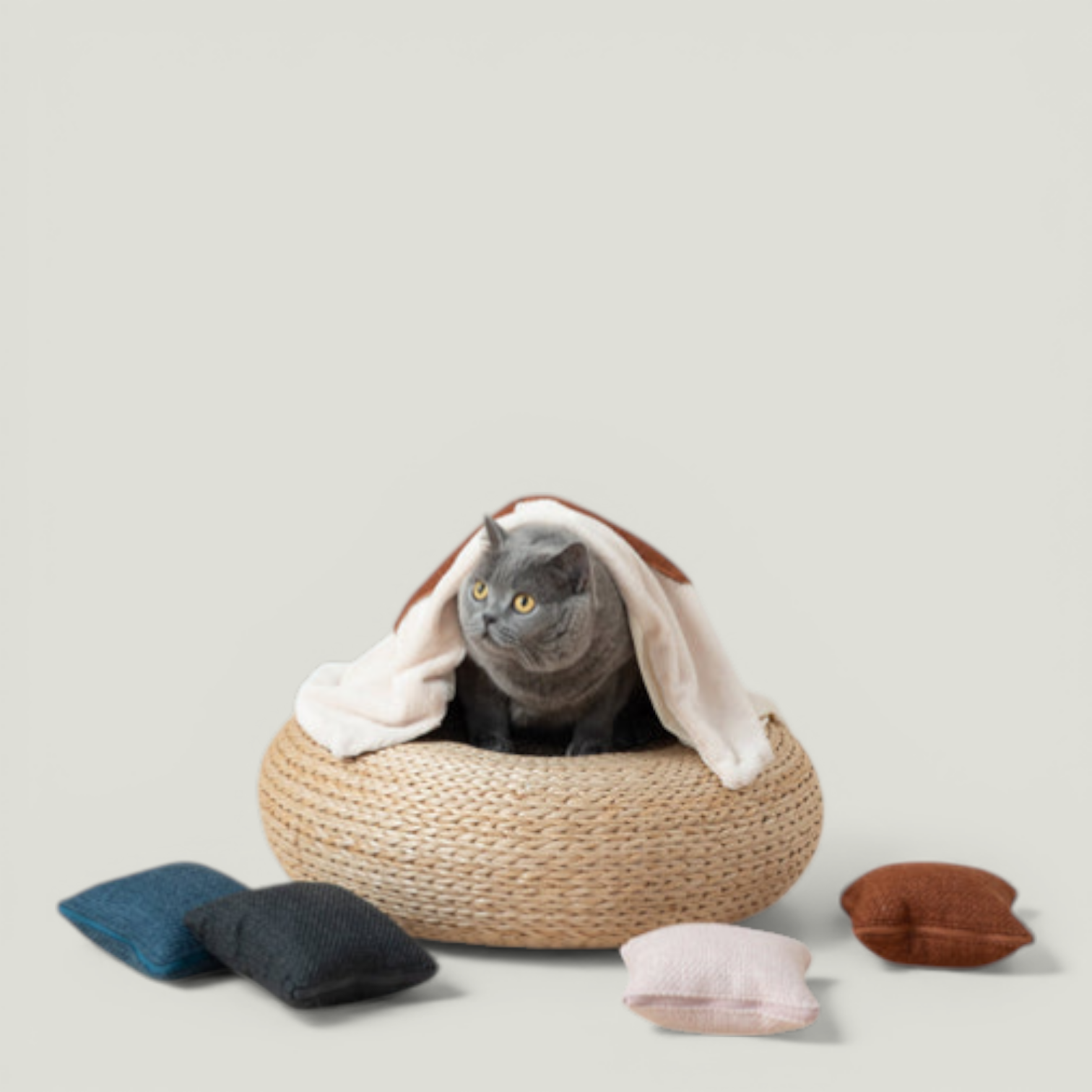 QUIN CUSHION BLANKET