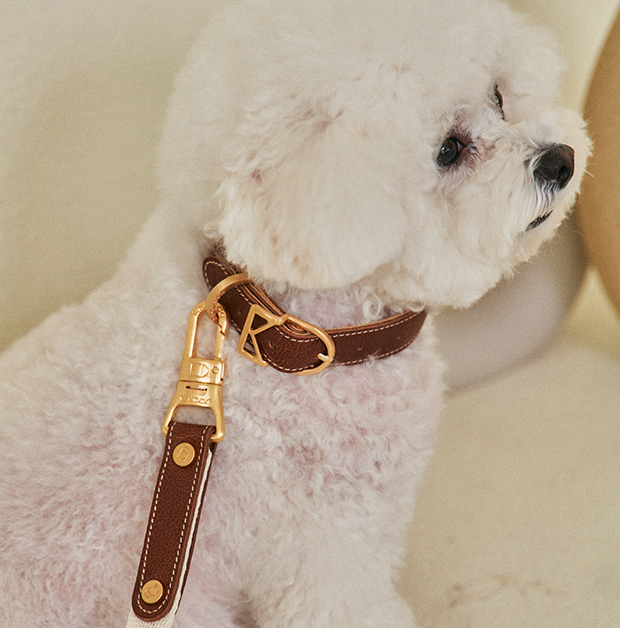 ROMA Collar in Romacollar2 – Nala's Pet Boutique
