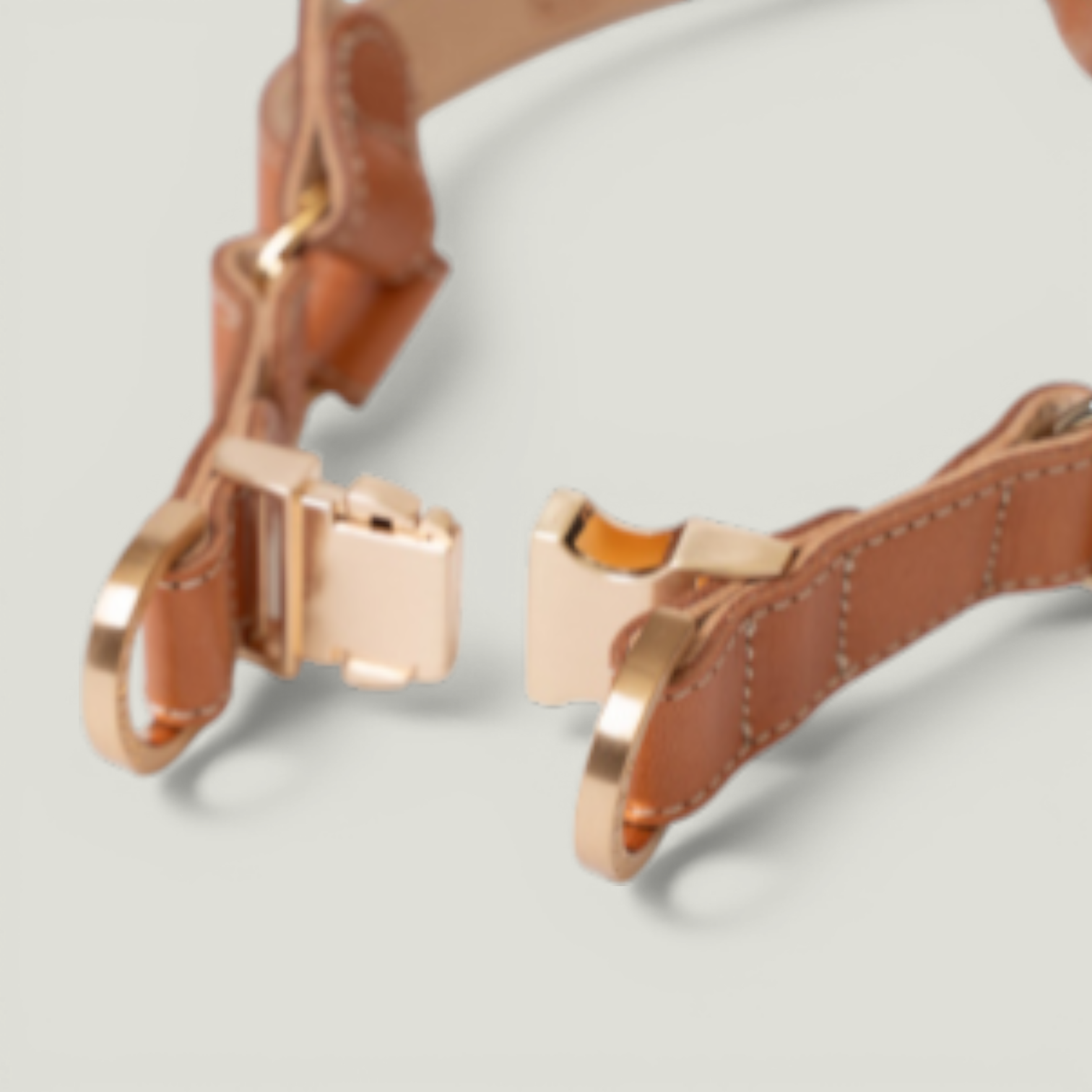 ROMA HARNESS in Romaharness6 Photoroom – Nala's Pet Boutique