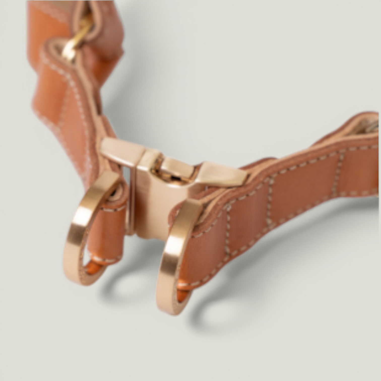 ROMA HARNESS in Romaharness7 Photoroom – Nala's Pet Boutique