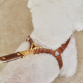 Cargar la imagen en la vista de la galería, ROMA HARNESS view 16 – Nala's Pet Boutique
