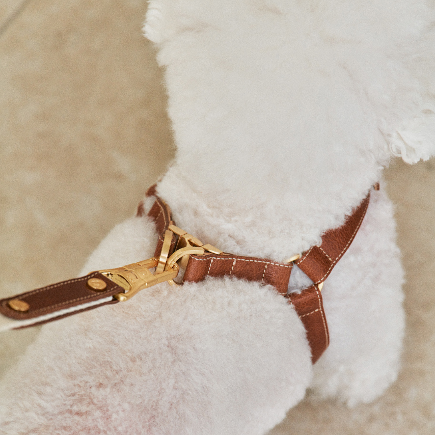 ROMA HARNESS view 16 – Nala's Pet Boutique