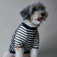 Load image into Gallery viewer, Striped, black & white T-shirt made with a stretchy fabric, black ribbed details and a color detail on the sleeves. Comfortable and easy to wear, perfect for summertime.
