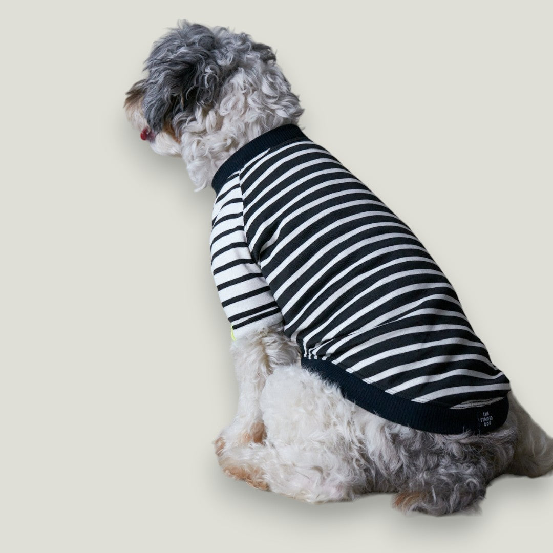 Striped, black & white T-shirt made with a stretchy fabric, black ribbed details and a color detail on the sleeves. Comfortable and easy to wear, perfect for summertime.