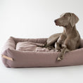 Load image into Gallery viewer, The Stokke Dog Bed is designed with precision and style, reflecting the latest trends in color matching. The base cushions are covered in high-quality cotton and filled with elastic foam, providing comfort and support for your dog's body. With a soft yet firm design, the bed supports the spine and joints while offering a peaceful sleep. The delicate bed cover is made with a durable and easy-to-clean fabric, ensuring both comfort and practicality.
