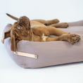 Load image into Gallery viewer, The Stokke Dog Bed is designed with precision and style, reflecting the latest trends in color matching. The base cushions are covered in high-quality cotton and filled with elastic foam, providing comfort and support for your dog's body. With a soft yet firm design, the bed supports the spine and joints while offering a peaceful sleep. The delicate bed cover is made with a durable and easy-to-clean fabric, ensuring both comfort and practicality.
