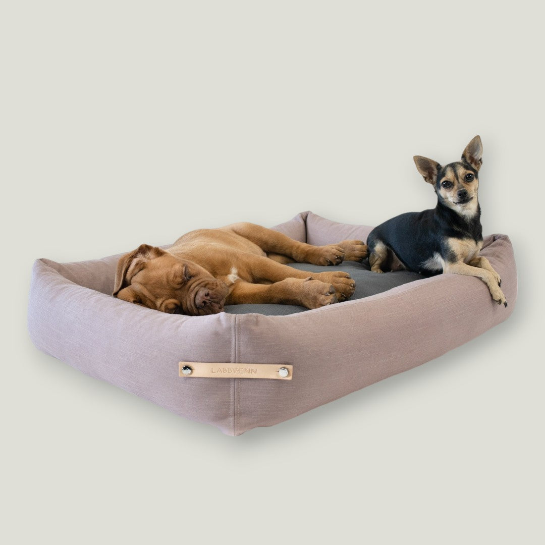 The Stokke Dog Bed is designed with precision and style, reflecting the latest trends in color matching. The base cushions are covered in high-quality cotton and filled with elastic foam, providing comfort and support for your dog's body. With a soft yet firm design, the bed supports the spine and joints while offering a peaceful sleep. The delicate bed cover is made with a durable and easy-to-clean fabric, ensuring both comfort and practicality.