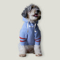 Load image into Gallery viewer, Light blue hoodie with terracotta inside hoodie and stripes on the sleeves, made with a soft terry. Long Sleeves
