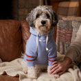 Load image into Gallery viewer, Stripe Hoodie
