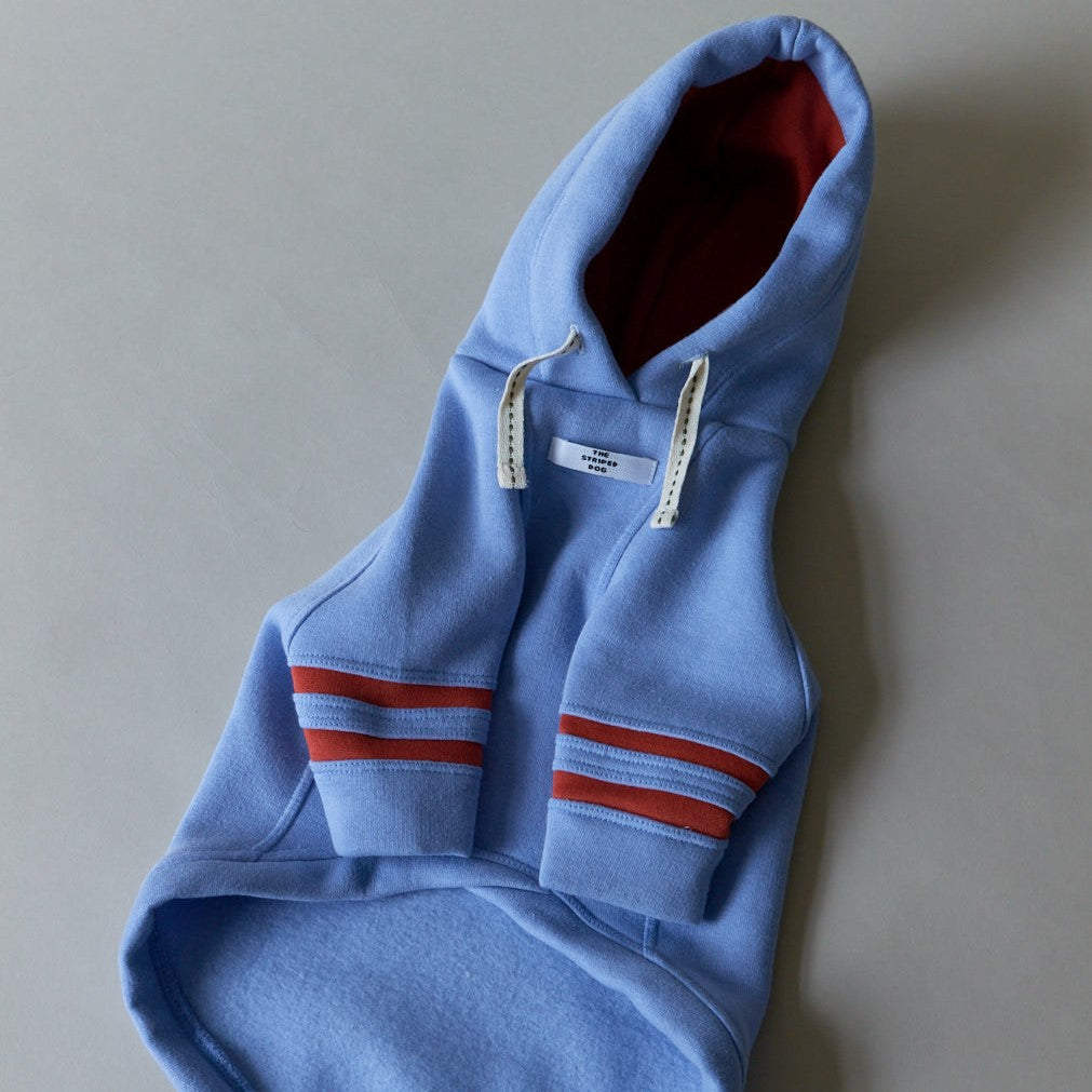 Light blue hoodie with terracotta inside hoodie and stripes on the sleeves, made with a soft terry. Long Sleeves