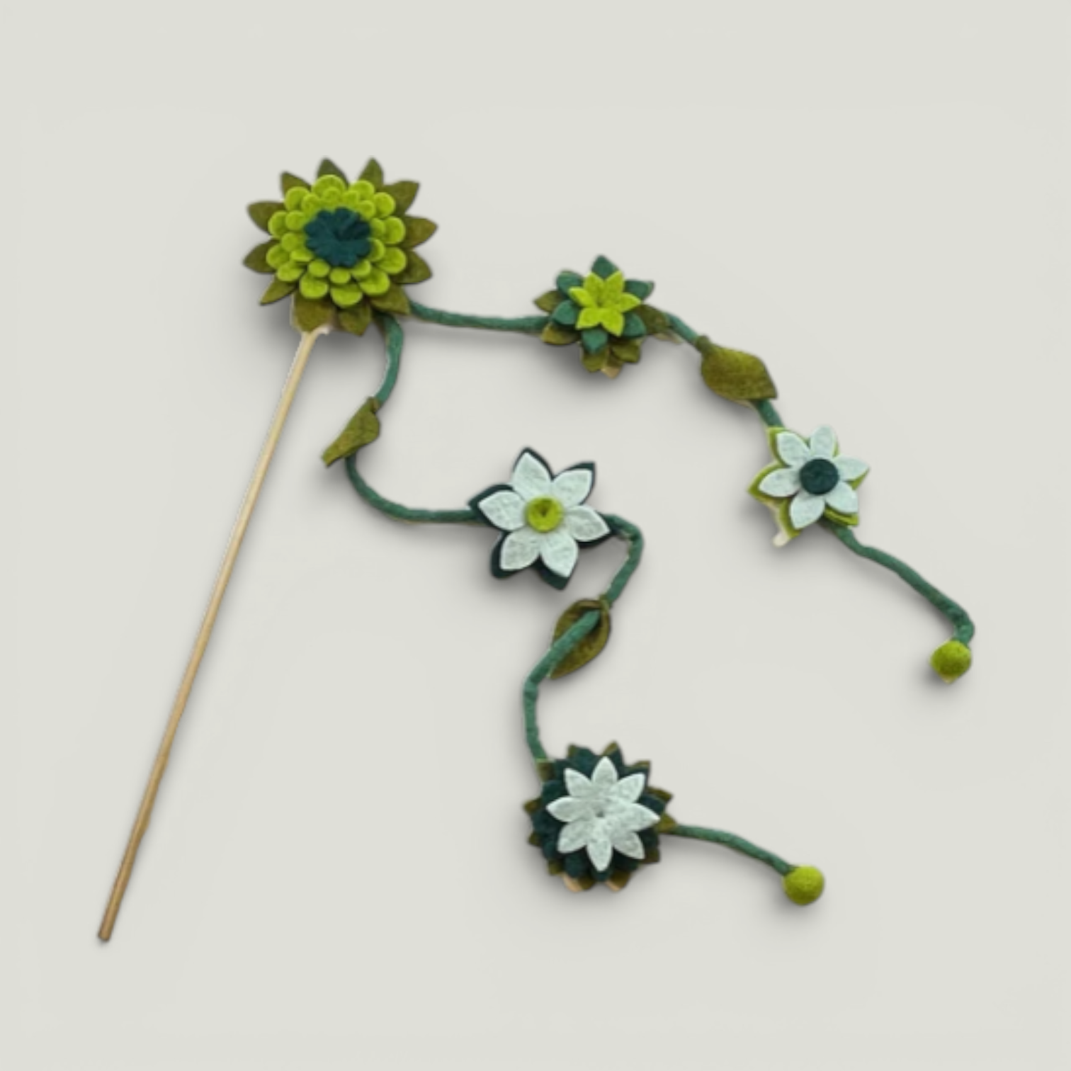 Succulent Teaser – Nala's Pet Boutique