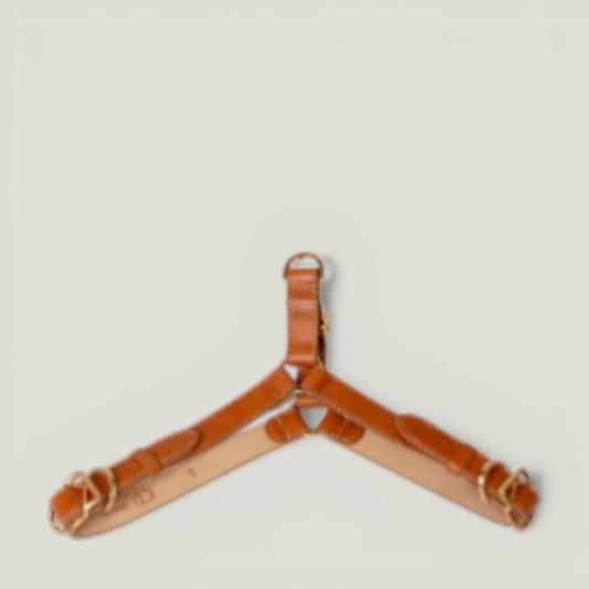 ROMA HARNESS