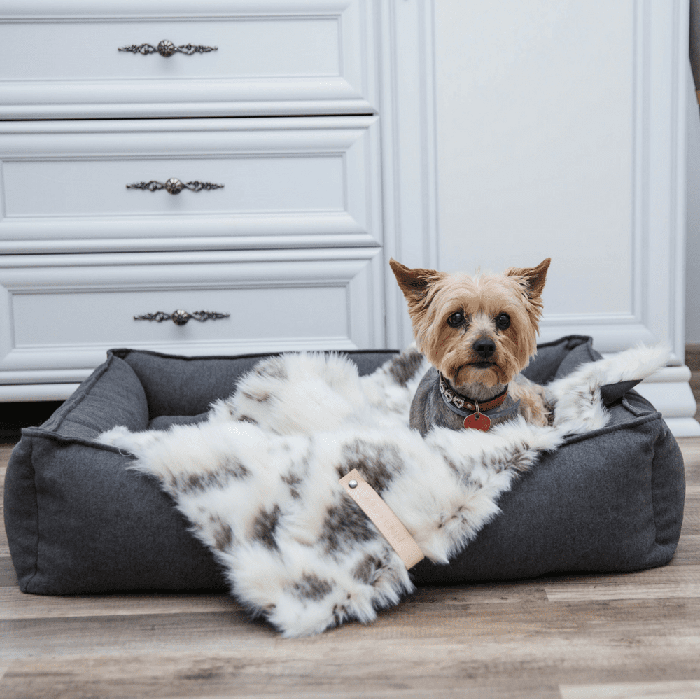 Soft, fluffy, and warm, this blanket will provide thermal comfort to your pet while also adding a tasteful touch of elegance to your interior decor.