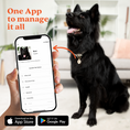 Load image into Gallery viewer, Tailr Classic Pet Tag
