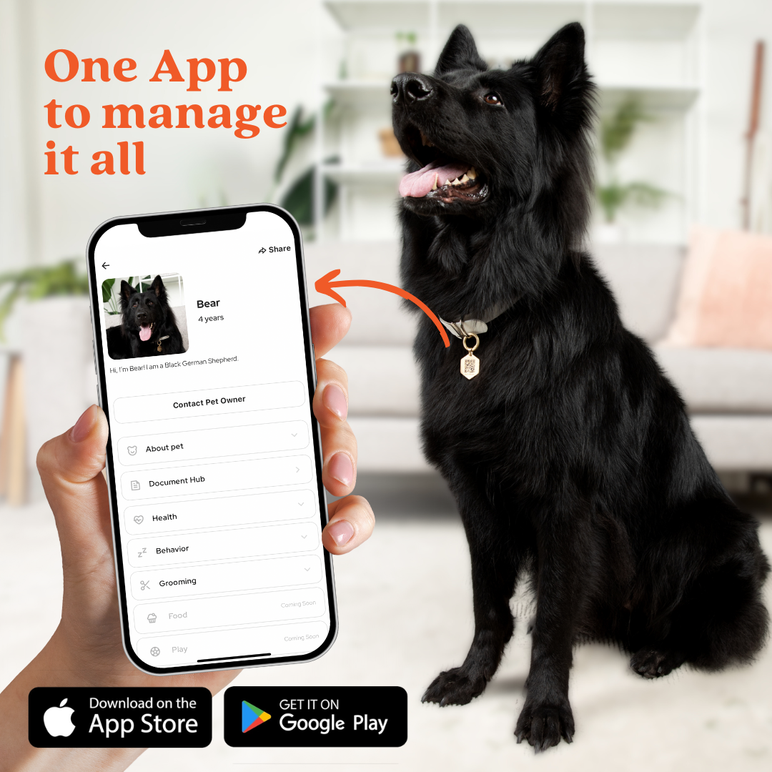 Tailr Classic Pet Tag