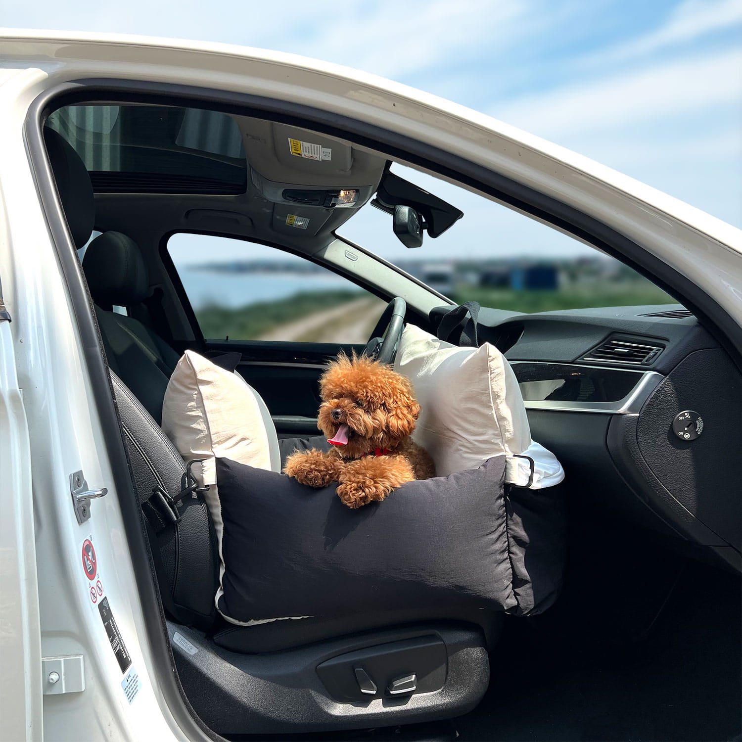 Asiento para Auto . Negro