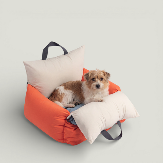 Dog sitting in a car seat for pets.